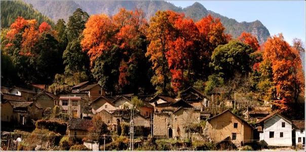 龙泉驿天气预报10天查询