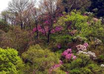 延庆松山森林旅游区天气